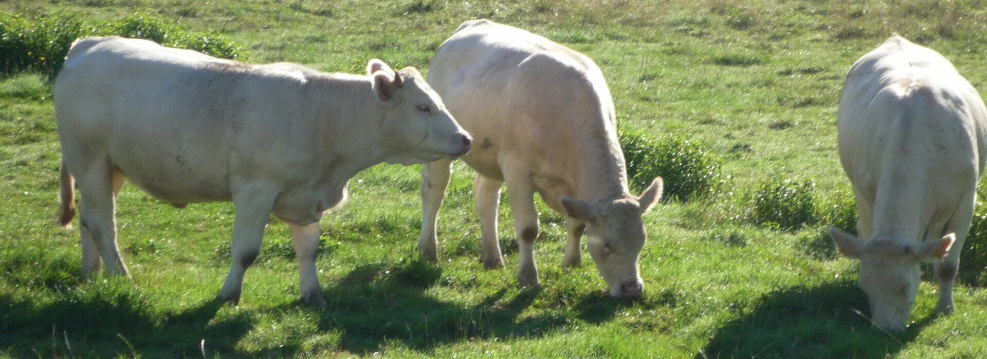 Agriculteurs